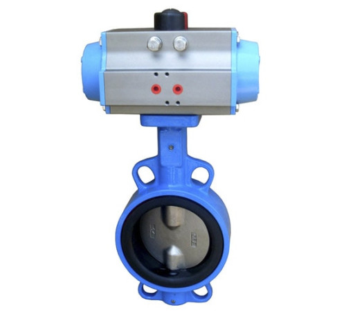 Затворы дисковые с пневмоприводом в Пинске для предприятий