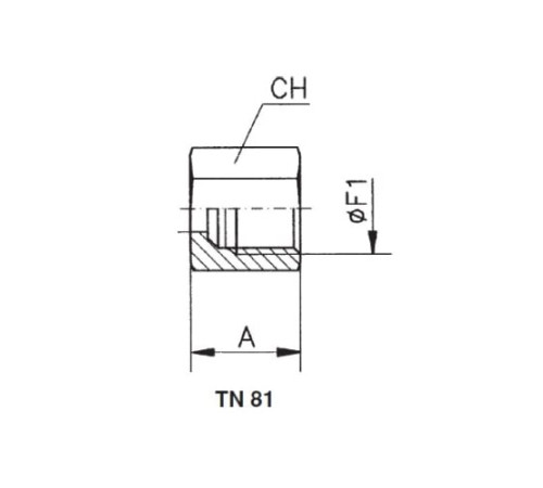 Накидные гайки TN81 и врезные кольца TN88 в Пинске