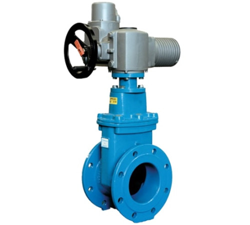 Задвижки стальные с электроприводом в Пинске для юридических лиц